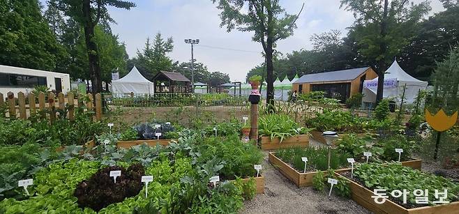 진주시민정원사협회의 키친 가든. 진주=김선미 기자 kimsunmi@donga.com