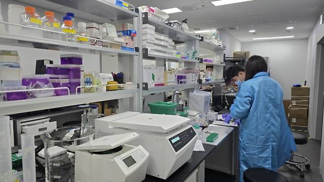 세라트젠 연구원들이 5월 13일 세라트젠 연구실에서 오가노이드 실험을 진행하고 있다. 문세영 기자.