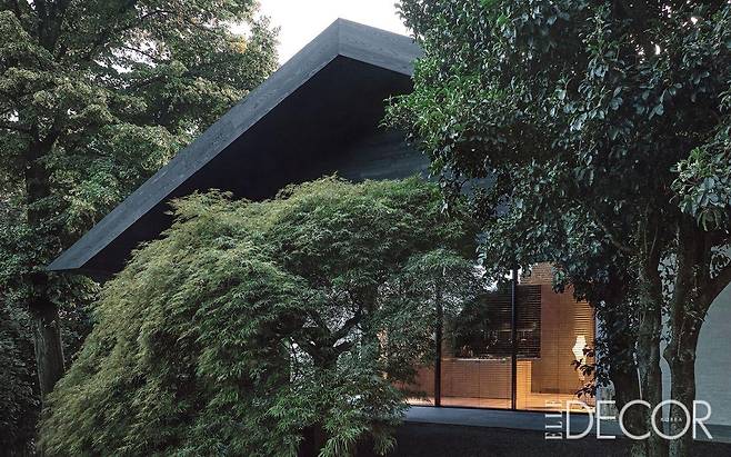 공원에 자리한 저택 전경. 검은 테라코타 벽돌로 지붕을 얹고 처마는 사사프라스(Sassafras)나무로 마무리했다. 군더더기 없는 선과 천연 소재에서 풍기는 미니멀한 미학이 숲의 풍경에 녹아든다.