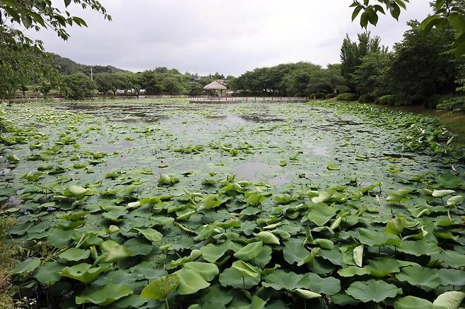 연암 박지원이 면천군수 시절 조성한 골정지