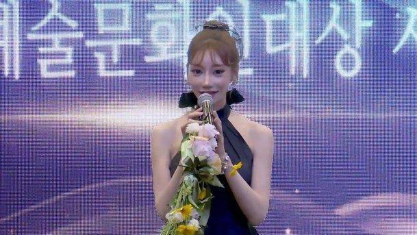 사진=대한민국 예술문화인대상 시상식 캡처