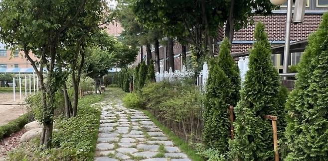 대안여중에 조성한 학교숲 모습. /사진제공=안양시