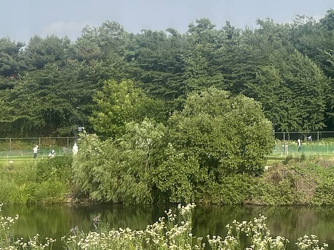 탄천파크골프장. 박병국 기자