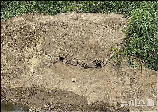 [성남=뉴시스] 성남 탄천과 동막천 합류 지점에 조성한 수달 서식처 (사진=성남시 제공) 2025.06.20.photo@newsis.com