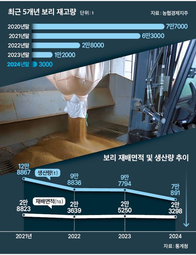 보리 수확이 한창 진행 중인 13일, 전남 영광 굴비골농협 건조저장시설(DSC)에서 지게차가 건조 작업을 위해 톤백 아랫부분을 열어 수매한 보리를 곡물 투입구에 들이붓고 있다.