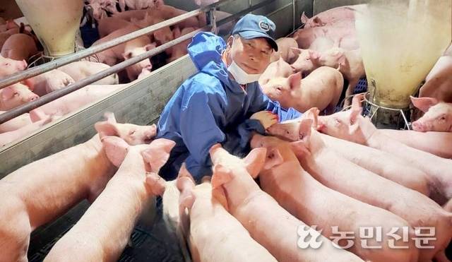 충남 아산시 음봉면에서 연암산종축을 운영하는 강정원 대표.