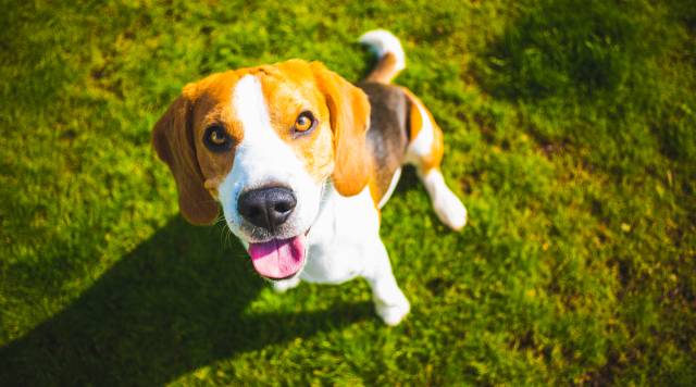 해당 기사와 무관. 이미지투데이