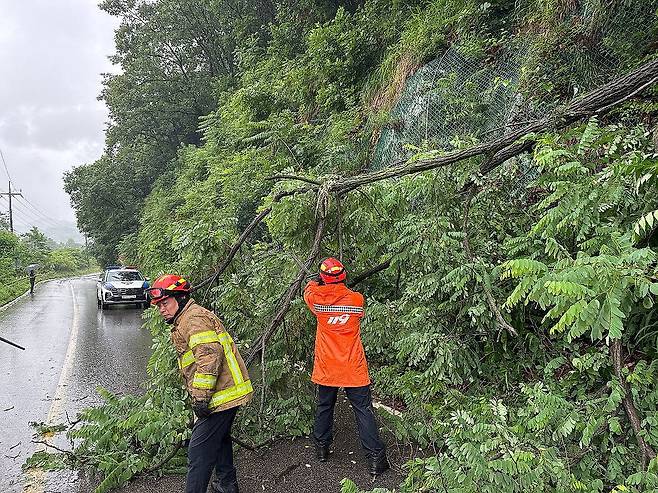 비 쏟아진 강원 내륙 피해 잇따라 (춘천=연합뉴스) 강원 내륙을 중심으로 호우 특보가 내려진 20일 나무 전도, 미끄러짐 사고 등 피해가 잇따랐다.　2025.6.20 [강원특별자치도소방본부 제공. 재판매 및 DB 금지] photo@yna.co.kr