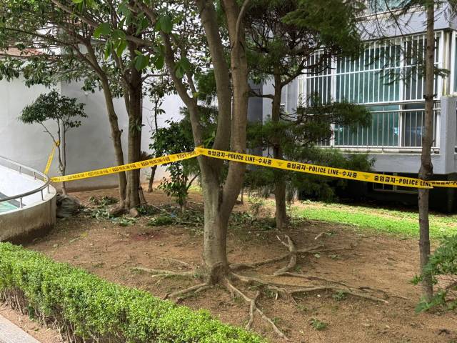 21일 오전 1시 39분께 부산 해운대구의 한 아파트 화단에서 고교생 3명이 숨진 채 발견됐다. 폴리스라인이 설치된 해당 아파트 화단.