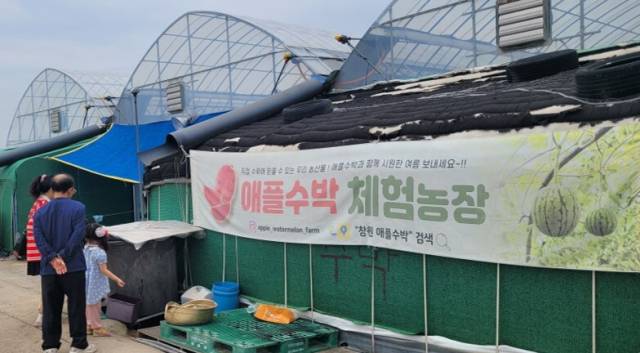 창원시 대산면 갈전리의 애플수박 체험농장 입구.