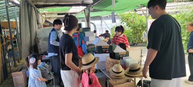 농장을 방문하면 애플수박과 미니토마토, 채소류 따기 등 다양한 프로그램을 체험할수 있다.