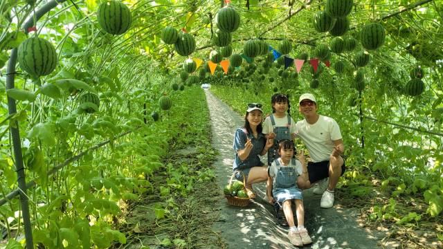 창원시 대산면 갈전리의 한 애플수박 체험농장을 찾은 가족이 포토존에서 기념촬영을 하고 있다.