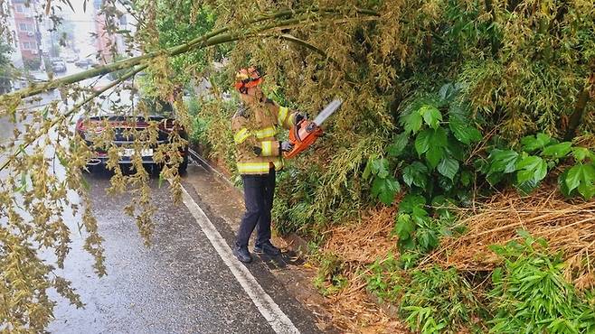 경북소방본부 제공.