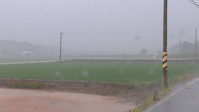 [전주MBC 자료사진]