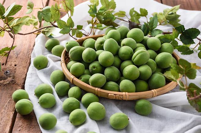 매실은 칼슘 함유량이 풍부하다. 멜론의 4배, 포도의 2배에 달하는 양의 칼슘을 지녔다. [사진= 게티이미지뱅크]