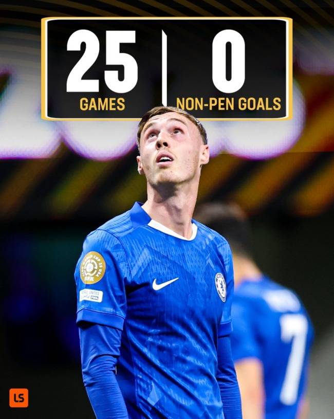 사진 = 라이브 스코어