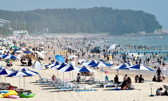 충남 서해안을 대표하는 보령 대천해수욕장이 7월 5일 개장한다. 대천해수욕장에서는 7월 25일부터 머드축제가 열린다. [사진 보령시]