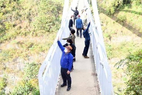 ▲ 광주 남구 제석산 구름다리 [연합뉴스]