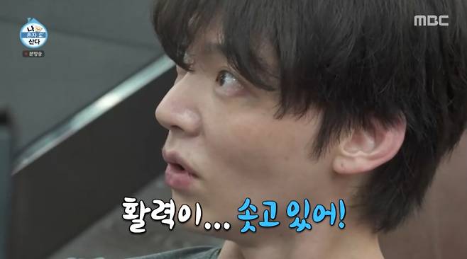 헬스장에서 운동하는 안재현 모습. /사진=MBC '나 혼자 산다' 캡처