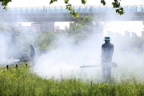 보건소 병해충 방역작업 [연합뉴스 제공]