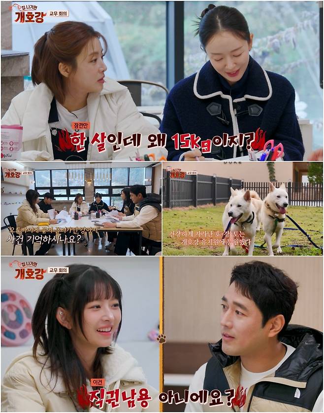JTBC ‘집 나가면 개호강’