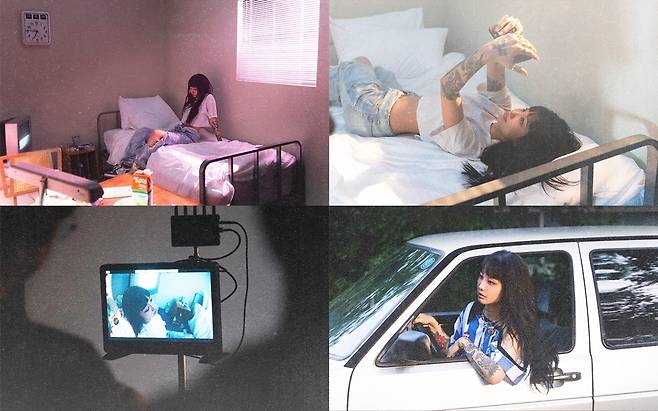 엠플리파이(MPLIFY)