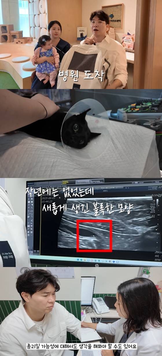 박수홍 딸/사진=유튜브 박수홍 행복해다홍