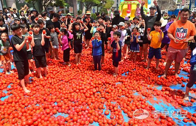 22일 오후 광주시 퇴촌면 광동로 일원에서 열린 '제23회 퇴촌토마토 거리축제'에서 '황금 토마토를 찾아라' 이벤트에 참가한 어린이들이 토마토 풀장에서 즐거운 시간을 보내고 있다. 임채운기자