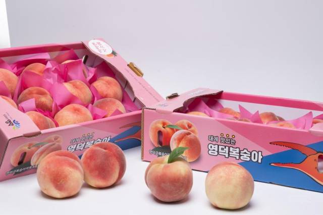 지난해 영덕 복숭아 장터에서 판매된 복숭아. 영덕군 제공