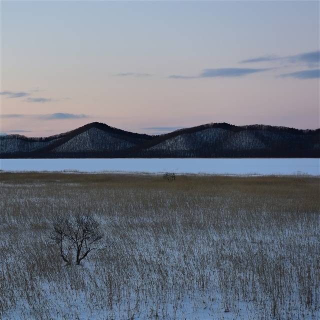 임창곤 작, '삿포로'