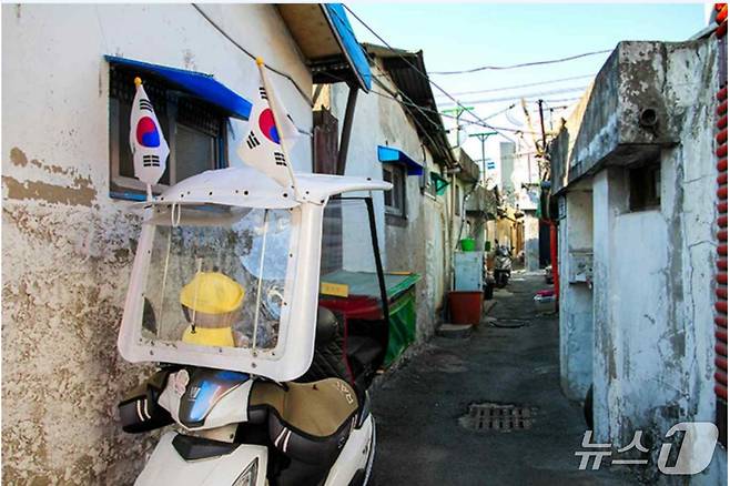 (사진작가 박정일 씨 제공, 재판매 및 DB금지) 2025.6.22/뉴스1