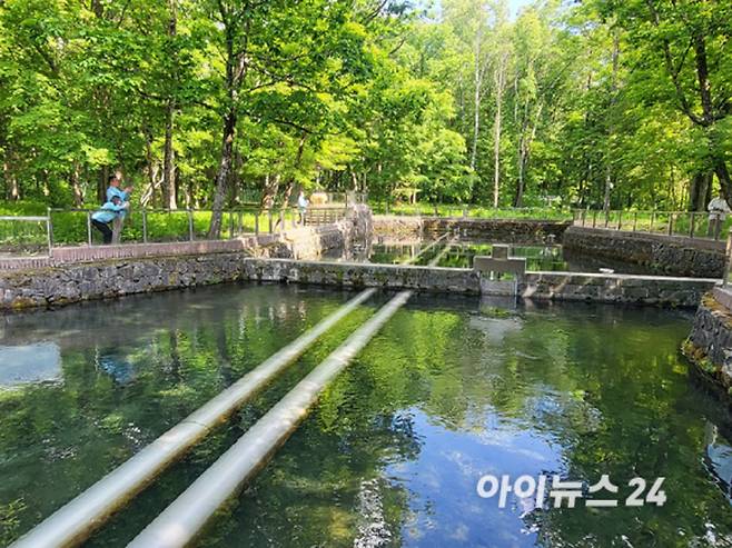 농심 백산수 수원지 '내두천'. [사진=정승필 기자]