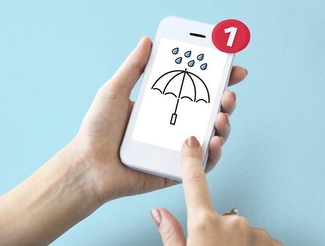 온라인 보험 가입 부진으로 디지털보험사들이 적자를 이어가고 있다. 프리픽