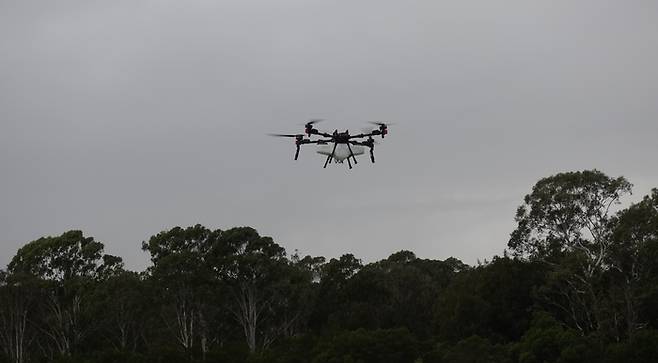 이륙한 P150 드론이 작업지로 날아가고 있다.