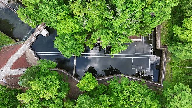 백산수 수원지 내두천 [농심 제공]