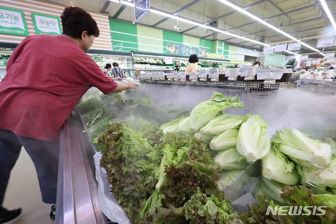 [서울=뉴시스] 김근수 기자 = 12일 서울 시내의 한 대형 마트에서 한 시민이 쌈채소를 고르고 있다. 한국농수산식품유통공사(aT) 농산물유통정보(KAMIS)에 따르면 상추 가락시장 경락가격은 4kg 상자에 4만6912원. 전날(2만8240원) 대비 66.1%나 올랐으며, 알배기배추도 같은기간 8kg 상자에 1만8846원에서 2만5245원으로 34.0% 올랐고 적상추도 4kg 상자가 4만1918원으로 2만5852원에서 62.1% 증가했다고 밝혔다. 2024.07.12. ks@newsis.com
