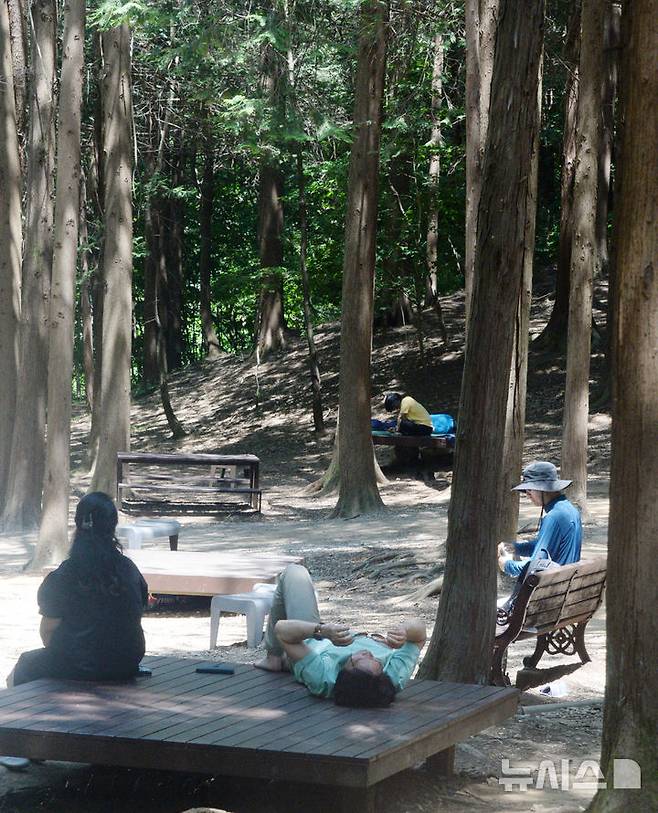 [전주=뉴시스] 김얼 기자 = 전북 전주시 건지산을 찾은 시민들이 나무 그늘아래에서 휴식을 취하고 있다. pmkeul@newsis.com