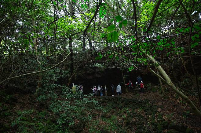 [서울=뉴시스] 웃산전굴 (사진=세계자연유산마을보존회 제공) 2025.06.22 photo@newsis.com *재판매 및 DB 금지