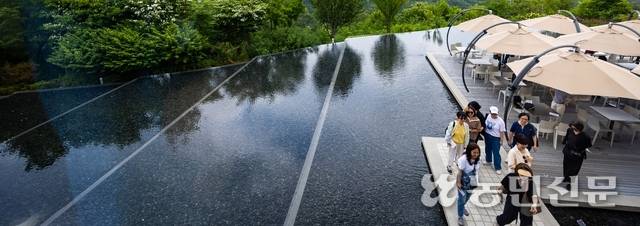 계단식으로 채워진 물에 비친 풍경을 즐길 수 있는 카페테라스. 원주=현진 프리랜서 기자