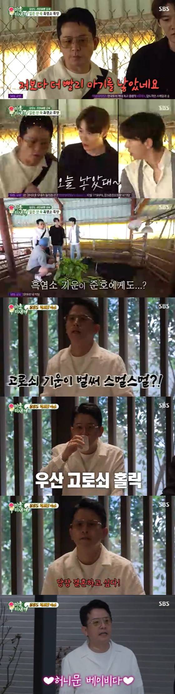 /사진=SBS '미운 우리 새끼' 캡처