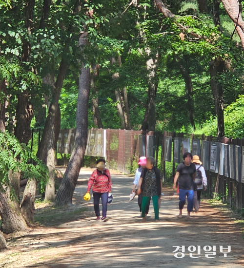 주민들이 삼삼오오 모여 맨발로 홍유릉 둘레길을 걷고 있다. 2025.6.23 남양주/이종우기자 ljw@kyeongin.com