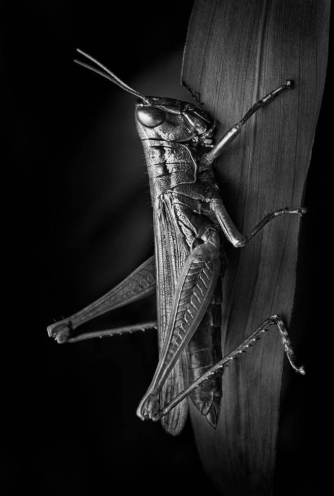 진솔한 작 'Wonderful Life'시리즈 중