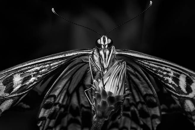 진솔한작 'Wonderful Life'시리즈 중