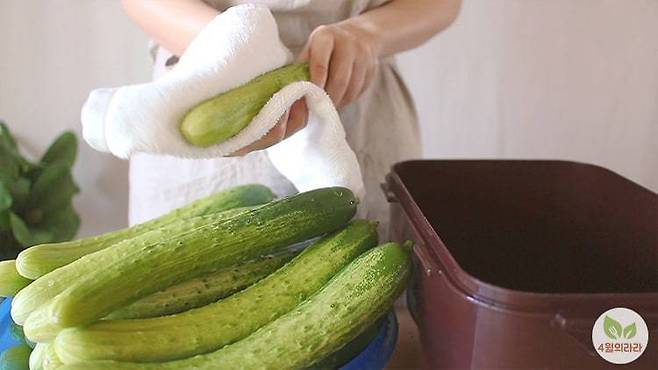 오이의 물기를 닦는 모습