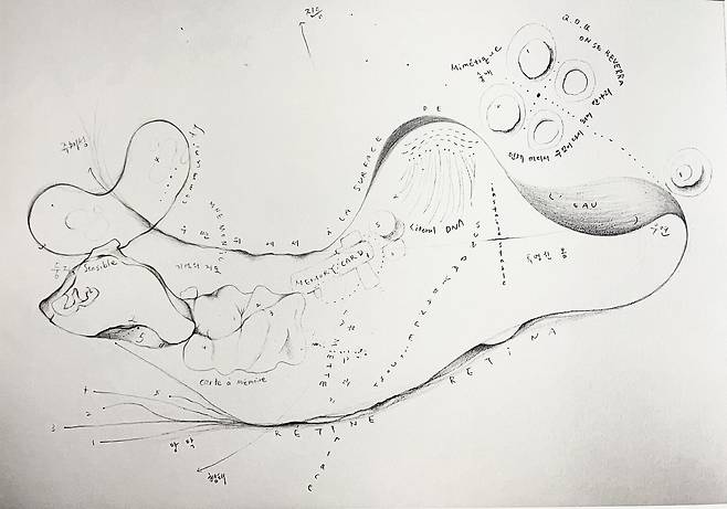 김보라 마음의 지도_2024_연필, 종이, 스캐너, 프린트, 지점토, 베갯잇_31.4 x 93 cm1 (서울시립미술관 제공)