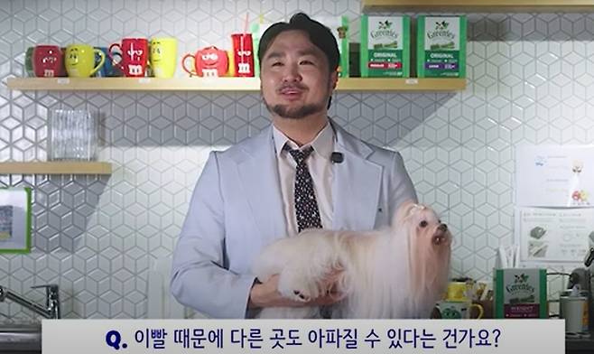 심용희 한국마즈 수의사가 반려견 구강 관리의 중요성에 대해 설명하고 있다(반려의 완성 유튜브 채널 갈무리). ⓒ 뉴스1