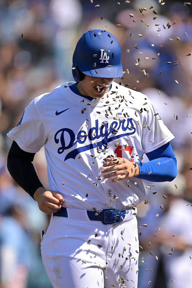 LOS ANGELES, CALIFORNIA - JUNE 22: Shohei Ohtani #17 of the Los Angeles Dodgers is showered with sunflower seeds after hitting a two-run home run in the eighth against the Washington Nationals at Dodger Stadium on June 22, 2025 in Los Angeles, California. Jayne Kamin-Oncea/Getty Images/AFP (Photo by Jayne Kamin-Oncea / GETTY IMAGES NORTH AMERICA / Getty Images via AFP)
<저작권자(c) 연합뉴스, 무단 전재-재배포, AI 학습 및 활용 금지>
