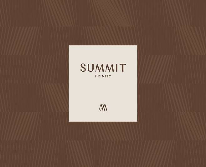 대우건설은 조합에 써밋 프라니티(SUMMIT PRINITY)를 제시했다. 프라니티는 PRIDE와 INFINITY의 합성어로 새로운 써밋의 무한한 가치를 통해 영원한 자부심을 완성하겠다는 대우건설의 의지가 담겨있다.ⓒ대우건설
