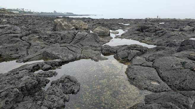 3fb8c32fffd711ab6fb8d38a4483746f3210888fec54334280be6bde8581ca16ea032a64629fbdba9a76299b