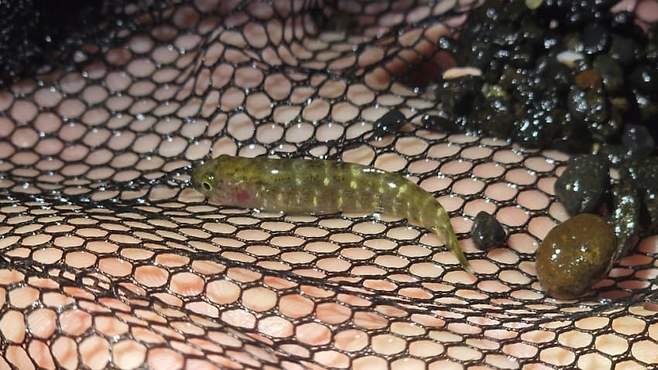 3fb8c32fffd711ab6fb8d38a4383746fc583541629b934abe5b840f0dd5682c2fecfb214772ef4c09cfa55db